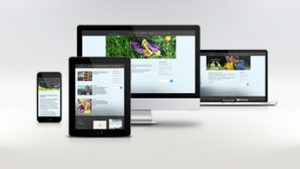 Webdesign im Kreis Calw, Böblingen & Tübingen